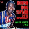 120300 Hound Dog Taylor Have some Fun