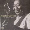 120893 Muddy Waters Honey Bee