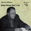 WBJ003 Big Joe Williams Baby Please Don´t Go