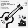 WSE109 Sonny Boy Nelson Complete Recordings 1936