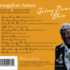 Alternative view of Boogaloo Ames - Going Down Slow